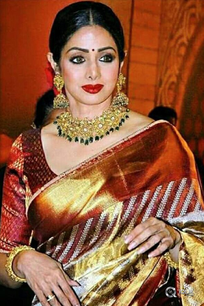 Sri-Devi-Last-Pics